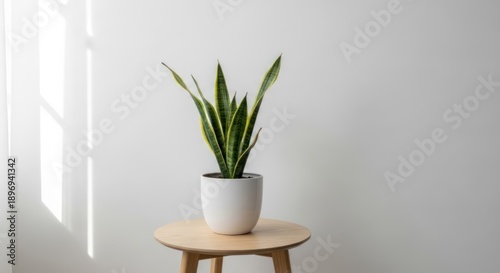 A potted plant with long, green and yellow leaves sits on a wooden stool against a white wall, bathed in natural light.