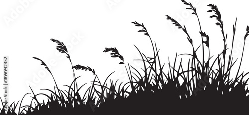 Would you like me to generate more variations of this description for different design contexts?