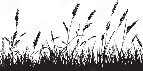 Vector illustration of a natural grass silhouette isolated on white, featuring organic plant shapes that evoke a rural summer landscape of wheat fields and meadow agriculture under a sunset sky