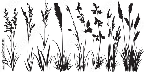 Vector illustration of a summer meadow featuring grass silhouettes and reeds swaying in the wind isolated on white with floral nature elements and grain stems for an agricultural plant design