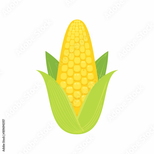 Fresh Yellow Corn on the Cob.