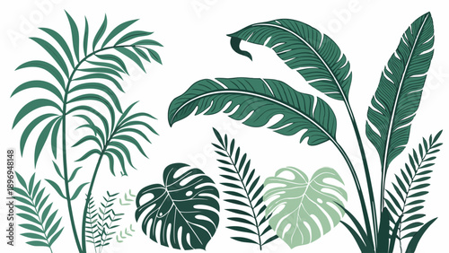 Lush Tropical Jungle Foliage Backdrop for Vibrant Web Design Packaging Branding Summer Decor