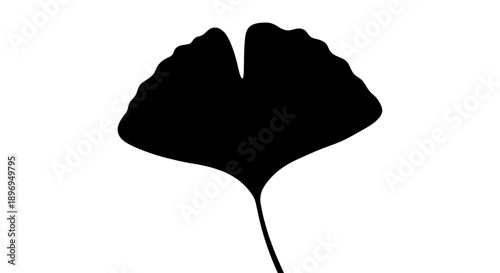 Silhouette of a single black Ginkgo Biloba leaf with a distinct fan shape and stem.