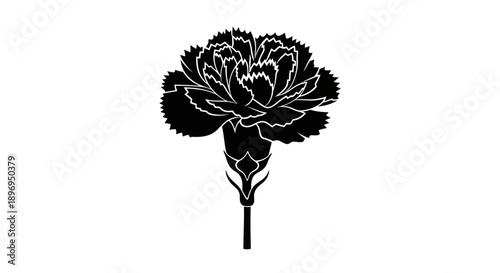 Black and White Carnation Flower Silhouette with Detailed Petals.