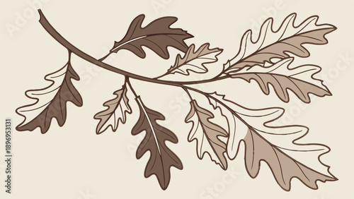 Vintage Oak Branch Illustration for Rustic Autumnal Branding Eco Design Nature Background Seasonal Fall Decor
