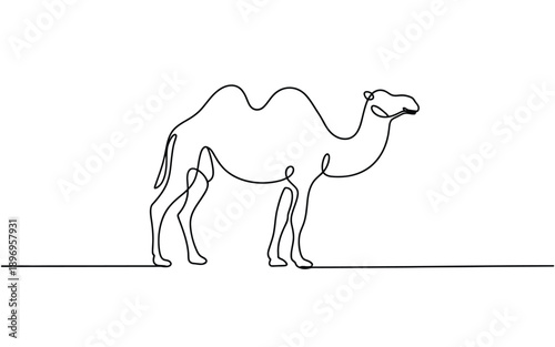 Camel Line Art Illustration