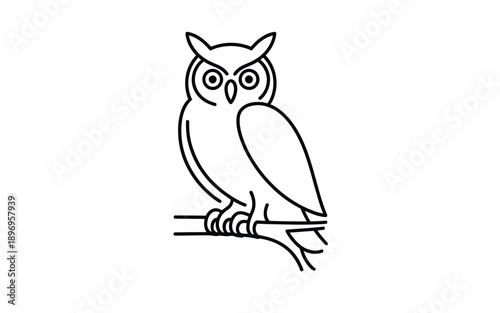 Owl Perched on Branch Line Art
