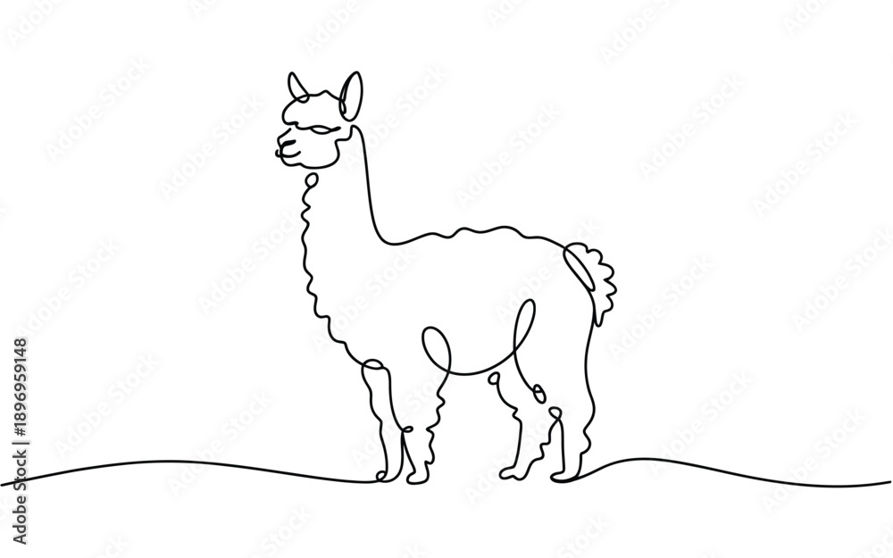 Fototapeta premium Cute Llama Continuous Line Art Illustration, South American Animal