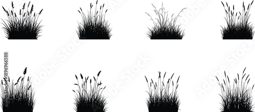 Collection of eight black silhouettes of grass clumps with diverse blade shapes, seed heads, and natural forms, perfect for botanical design, landscape art, and ecology projects