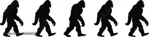 Bigfoot, Sasquatch, silhouette, walking sequence, cryptid creature, forest legend, mysterious animal, black shape, myth, wilderness, isolated, vector, evolution, bipedal figur