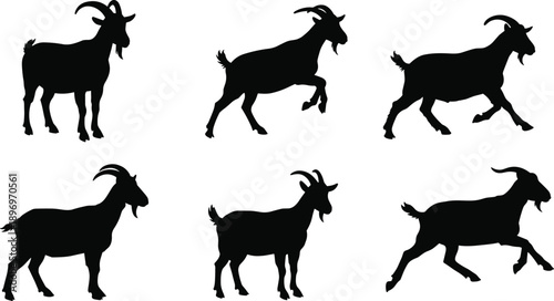 Black goat silhouettes in various poses, standing, walking, grazing, farm animal vector illustration for agriculture, dairy, ranch, rural livestock design