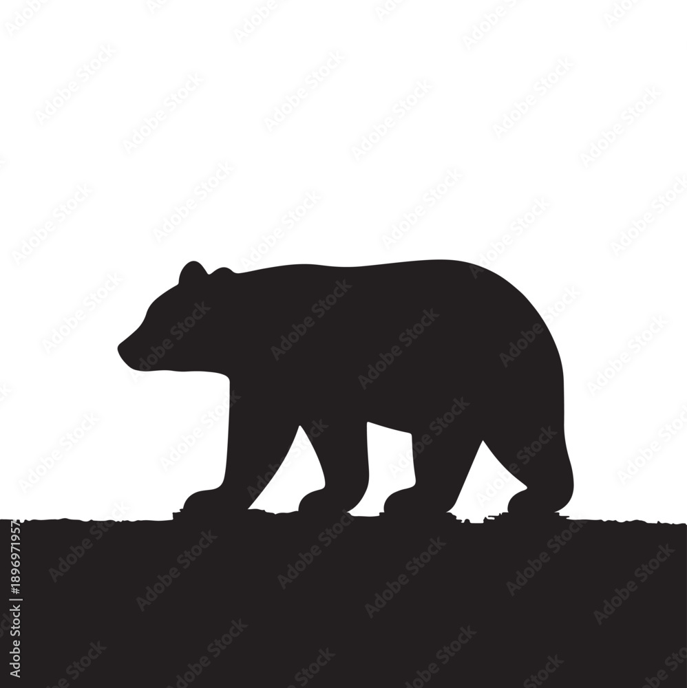 Fototapeta premium animal 