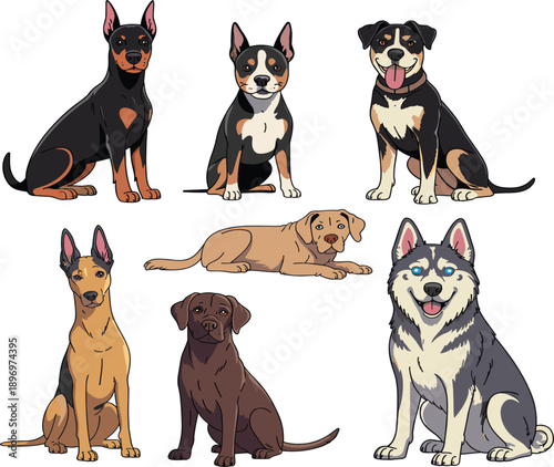 Various dog breeds collection featuring Husky, Doberman, Labrador, and Terrier, cute domestic pets character vector set