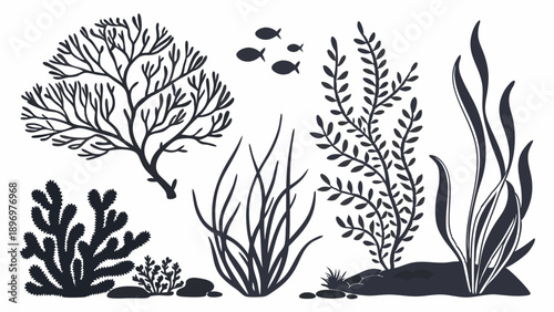 Underwater Seaweed Kelp Algae Silhouette Set for Aquarium Design Ocean Ecosystem Graphics and Nature Projects