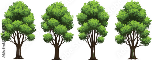 Set of four detailed green leafy trees with sturdy trunks, perfect for nature, garden, landscaping, and outdoor design projects.
