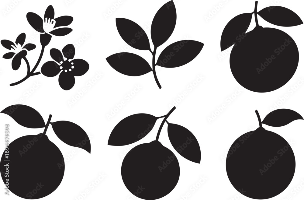 Obraz premium High-quality versatile vector graphic file for professional design projects and scaling