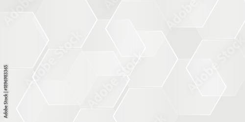 Abstract white and gray background. smooth abstract background, blurred pattern. Light pale vector background. Abstract pale geometric design abstract