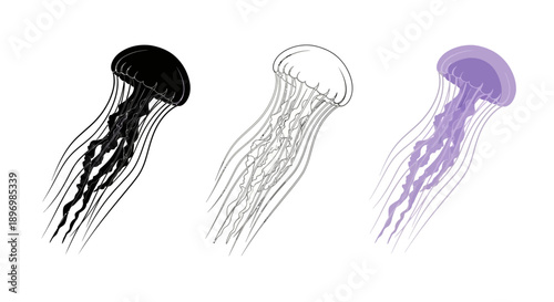 Jellyfish Icon Set with Long Tentacles in Purple Flat Design, Silhouette, and Detailed Outline Styles for Marine Life Graphics
