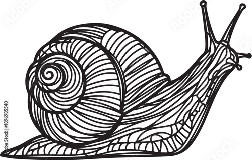 A black and white illustration of a snail moving slowly
