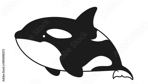 Black and White Orca Whale Illustration.