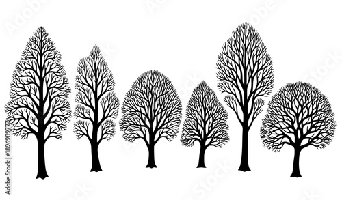Naked tree black silhouettes hand drawn branch trees vector set