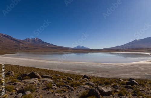 Wallpaper Mural View of a lagoon in the Bolivian highlands, Bolivia Torontodigital.ca