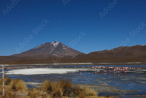 Wallpaper Mural View of a lagoon in the Bolivian highlands, Bolivia Torontodigital.ca