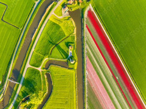 Aerial view of vibrant tulip fields in the Netherlands at sunrise. Traditional Dutch windmill stands by a calm canal. Symmetrical rows of colorful flowers creating a stunning geometric pattern. 