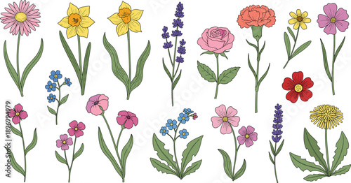 Hand Drawn Wildflower Vector Illustration Set with Colorful Spring and Summer Flowers, Botanical Elements, and Natural Floral Designs for Decorative Projects