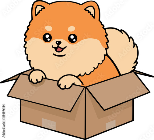 Chibi Orange Pomeranian Dog Sitting Inside a Cardboard Box