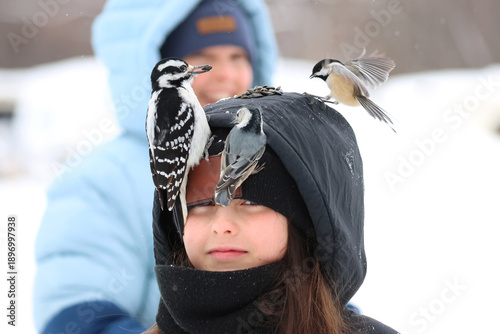 Photography child feeding birds in nature during winter