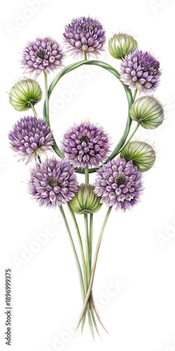 Delicate allium flowers arranged in a circular wreath on a dark background