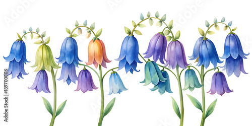 Colorful bellflower blooms arranged in a row against a dark background showcasing natural beauty