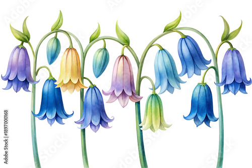 Watercolor painting of colorful bell shaped flowers on dark background