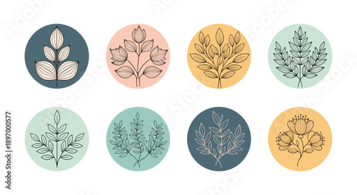 A set of aesthetic and minimalist botanical icons for social media story highlights, featuring hand-drawn leaves and flowers.