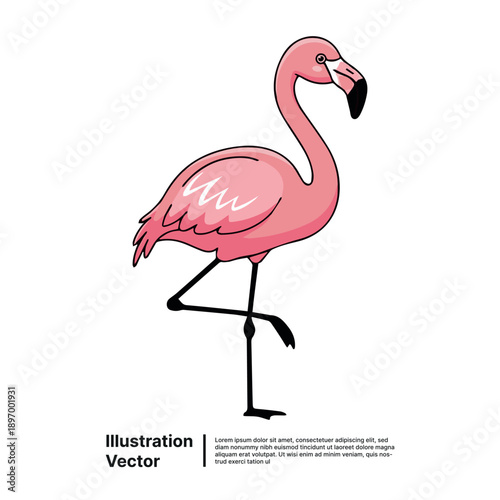 A pink flamingo stands on one leg, vector illustration of a bird in a simplistic style.
