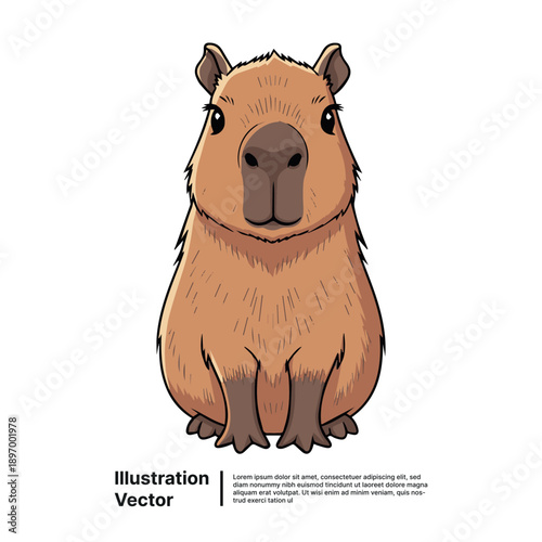 A cartoon capybara illustration on a white background viewed from the front.