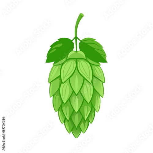 Vector illustration of a fresh green apple with leaves and a bunch of ripe grapes on a grapevine branch represents healthy nature and agriculture