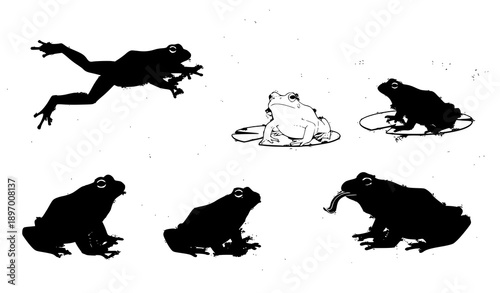 Amphibian frog action silhouette vector illustration set of 6