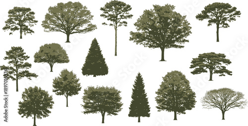 Diverse Collection of Tree Silhouettes on a White Background, Showcasing Various Species and Shapes for Design