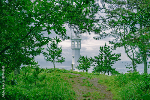 Scenic view of white lighthouse framed by green forest trees overlooking the blue ocean.