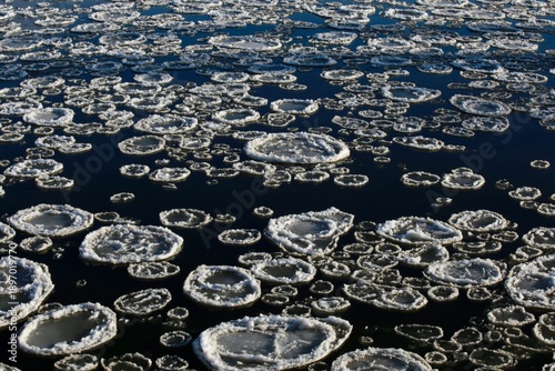Frozen Ice Discs Floating on the Oder River in Winter
