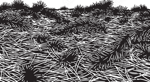 Black and white illustration of spiky plants and foliage