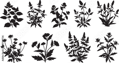 Collection of various black floral silhouettes on white background