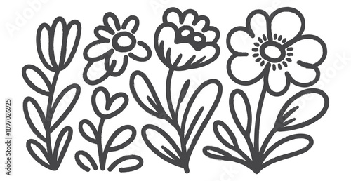 Simple black and white floral arrangement with various flower types
