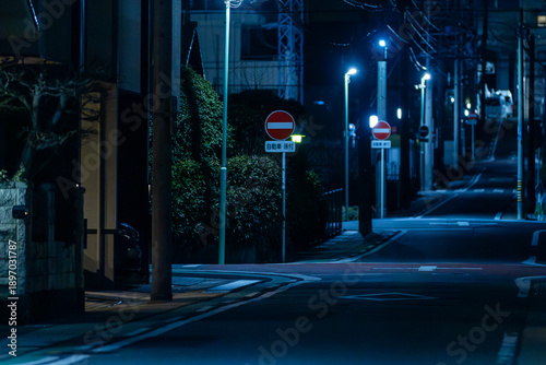 Echoes of the Night