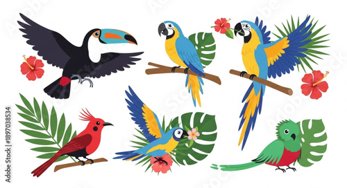 Collection of colorful tropical birds and foliage.