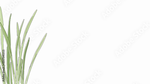Minimal green grass illustration, fresh blades on white background. Natural green grass adds organic texture, symbolizing growth. Perfect green grass visual for eco branding, healthy lifestyle,