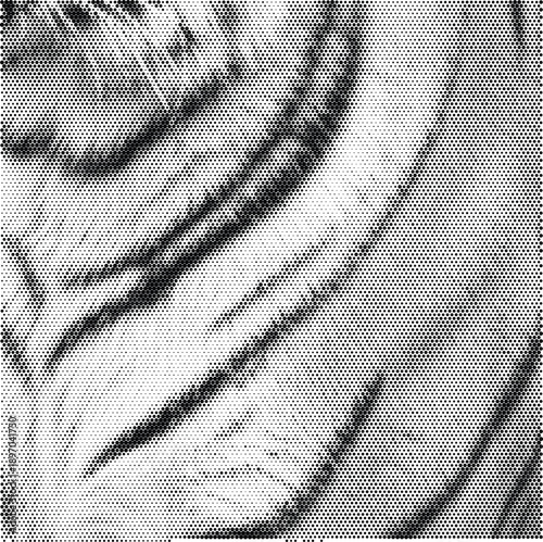 halftone texture tiger stripes fur animal pattern wildlife predator nature feline jungle bengal background stripe