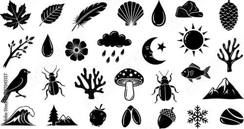 Black and White Glyph Icons of Nature Elements - Leaves, Feather, Sun, Moon, Animals, Plants, Weather